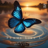Rodle & DNDM - Femme Like U