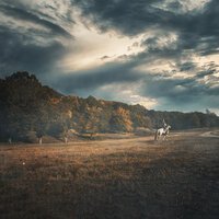 GUBANOVA, Andery Toronto - Земля