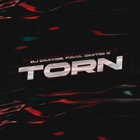 DJ DimixeR, FAVIA & Dmitrii G - Torn