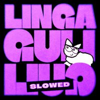 Zachz Winner - linga guli guli (Slowed)