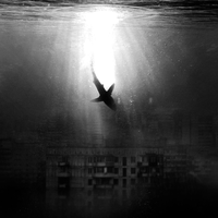 Lustova - Буйный ветер