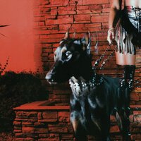 Leon Thomas - MUTT
