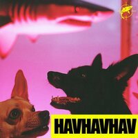 Lvbel C5 – HAVHAVHAV