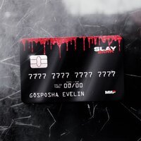 Госпожа Эвелин - Лудик