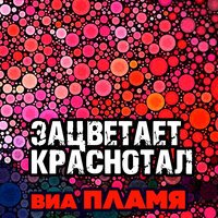 ВИА Пламя - Зацветает краснотал