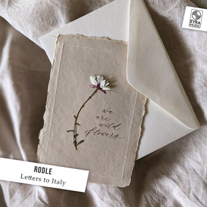 Rodle - Letters to Italy