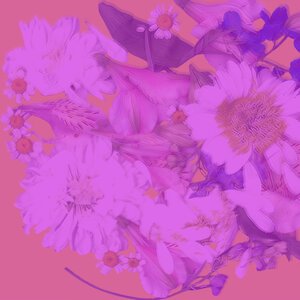 A\'Studio - Красивые слова