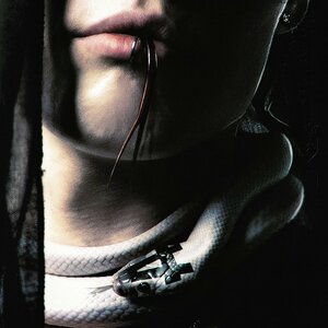 Pepel Nahudi - DIVA