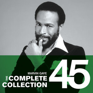 Marvin Gaye, Tammi Terrell - Ain\'t No Mountain High Enough