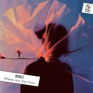 Rodle - Where are you now