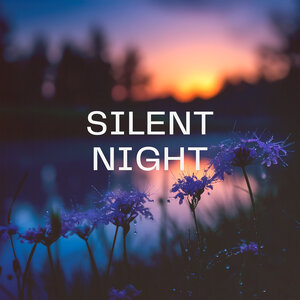 SAGI - Silent Night
